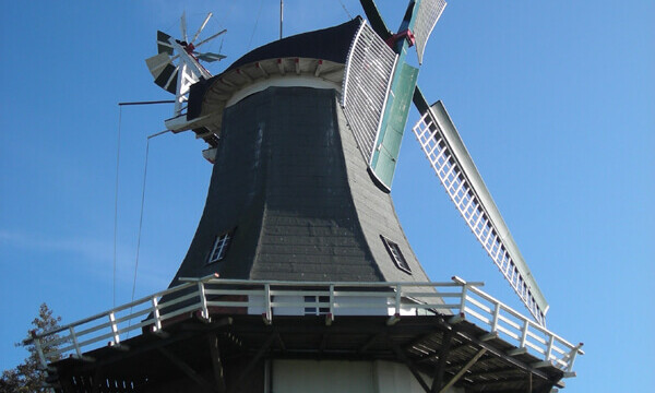 Umgebung Ferienhaus Windlicht in Greetsiel